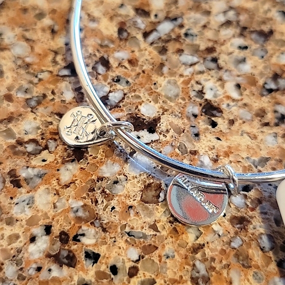 NWT Alex and Ani Silver Alaska Bear Paw Bracelet - Picture 7 of 11